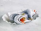 Rollmops in paper dish