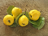 Several quinces with leaves on wooden background