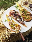 Pieces of three different pizzas on plate on bale of straw
