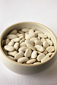 Dried white beans in bowl