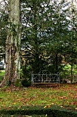 Gartenbank neben Baum im herbstlichen Garten