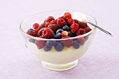 Vanilla blancmange with fresh berries