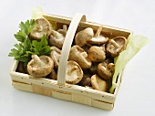 Small basket of shiitake mushrooms