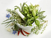 Various herbs in a mortar