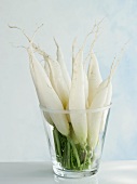 White icicle radishes in a glass
