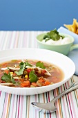 Vegetable soup with chicken and fresh coriander (Mexico)