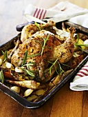 Rosemary chicken on root vegetables
