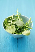 Watercress in a blue bowl