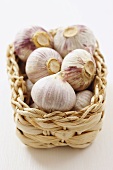 Garlic bulbs in basket
