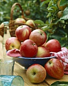 Apples, variety 'Katja'