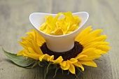 Small bowl of sunflower petals on sunflower