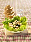 Bean salad with romaine lettuce