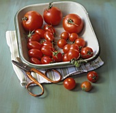 Tomatoes in a baking dish and a pair of scissors