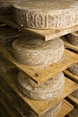 Alpine cheese made from cow's & goat's milk (Maggia Valley, CH)