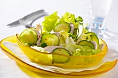 Lettuce with chicken breast and cucumber slices