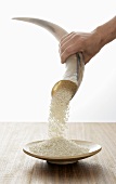 Rice pouring out of a horn