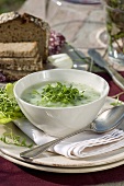 Cress soup