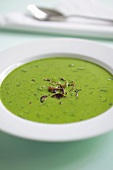 Creamed spinach soup