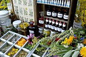 Various fresh and dried herbs (Herbal apothecary's shop)