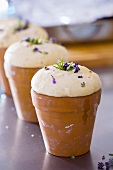Lavender bread in flowerpots (ready for baking)