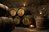Wine cellar in Nuits-Saint-Georges, Burgundy