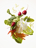 Raw food diet: salad leaves, radishes, celery, apple, radish