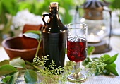 Home-made elderberry liqueur