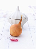 An onion in front of a white dish