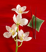 Orchid beside green dish with chopsticks