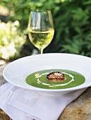 Chilled cream of pea soup with fried scallop