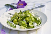 Brussels sprout, ramsons and dandelion salad with yoghurt