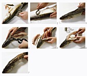 Preparing a round fish for stuffing