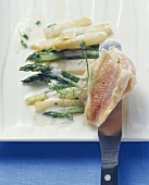 Lukewarm charr on asparagus