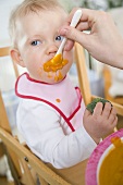 Small child being fed baby food