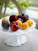 Obstschale mit Nektarinen, Aprikosen, Feigen und Weintrauben