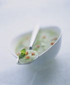 Cream of courgette soup with mint