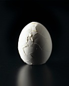 An egg with a cracked shell (black & white photo)