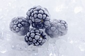 Frozen blackberries on ice cubes