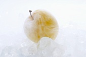 Frozen yellow plum on ice