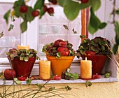 Arrangements of hydrangeas, apples & candles on windowsill