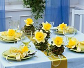 Narcissi and moss balls (table decoration)
