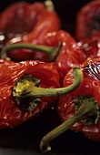 Oven-baked peppers