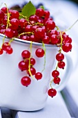 Redcurrants in a mug