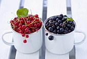 Red- and blackcurrants in two mugs