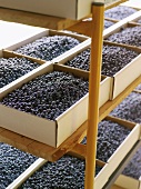 Blueberries in cardboard boxes on wooden shelves