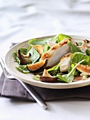 Salad of grilled chicken breast, shiitake and spinach