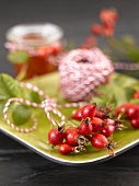 Rose hips on green plate with twine