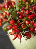 Rose hips in a green pot (close-up)