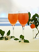 Orange blossom & rhubarb schorle (juice & carbonated water)