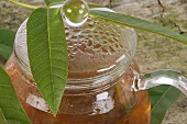 Walnut leaf tea in a glass teapot
